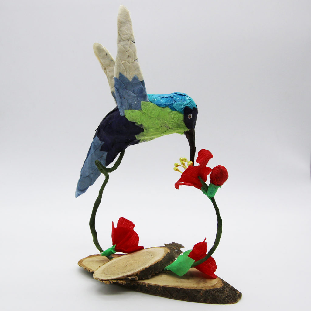 Colibri bleu et fleurs de prunier