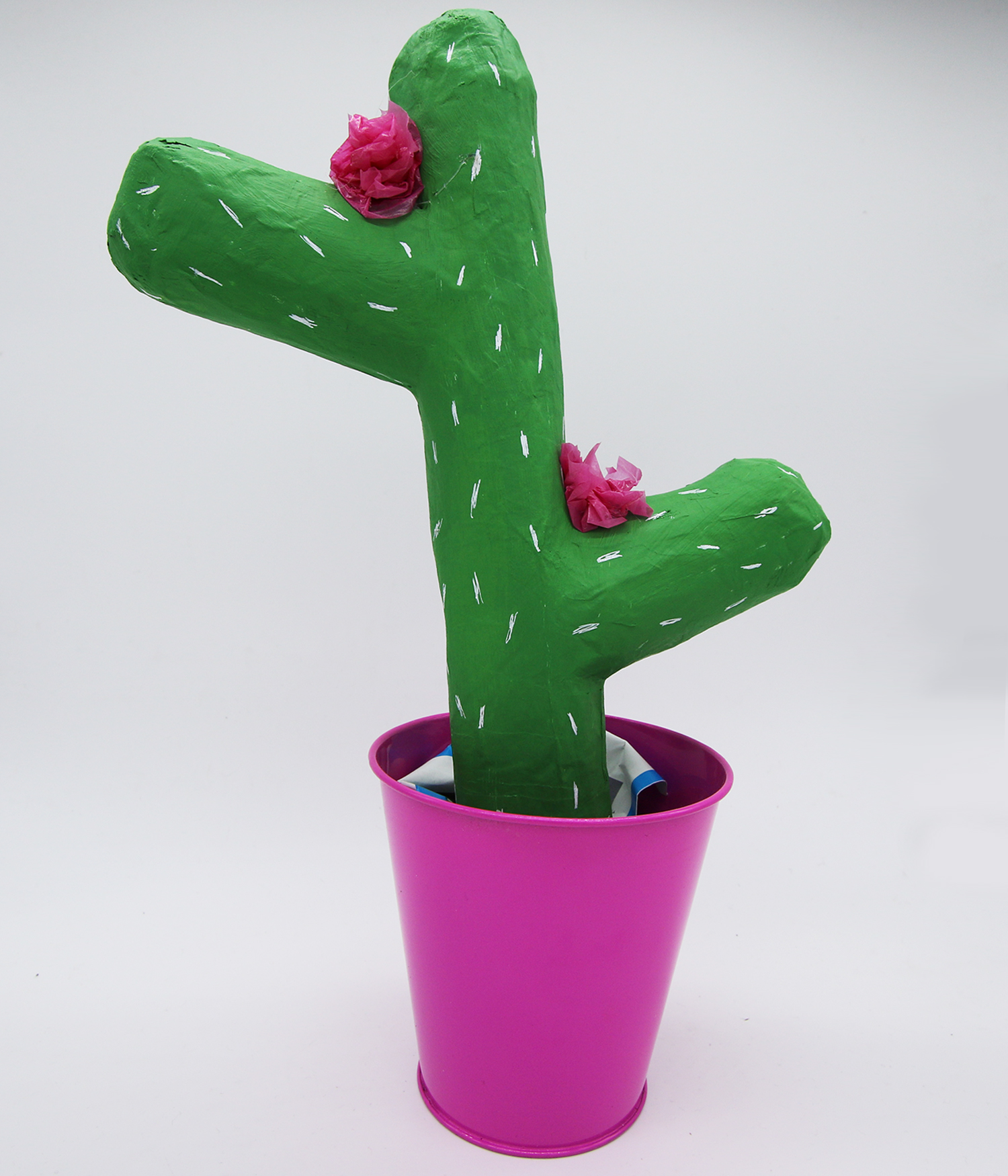 Cactus en papier mâché DIY