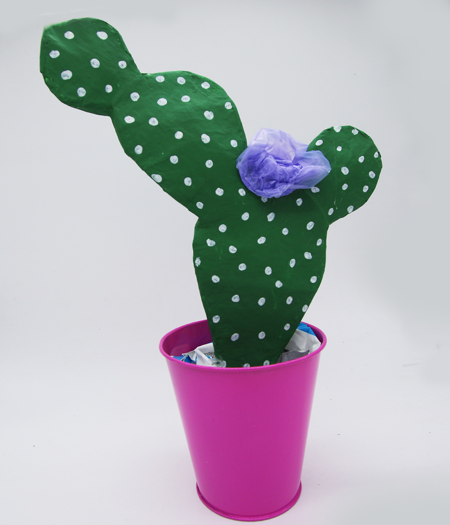 Cactus en papier mâché DIY