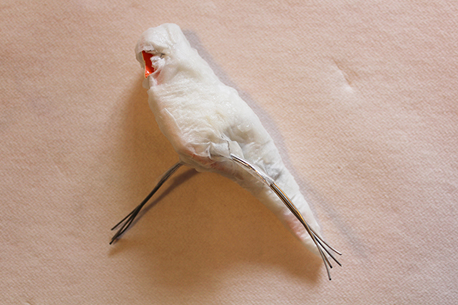 DIY oiseau en papier mâché