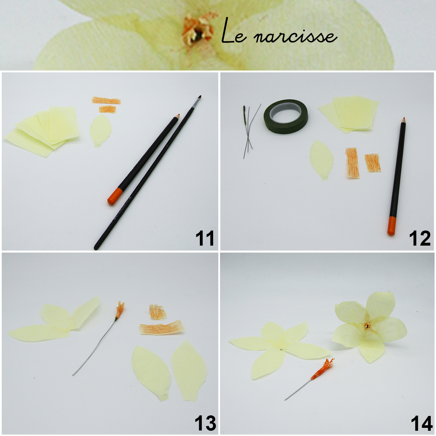 Narcisse en papier crépon DIY